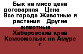 Бык на мясо цена договарная › Цена ­ 300 - Все города Животные и растения » Другие животные   . Хабаровский край,Комсомольск-на-Амуре г.